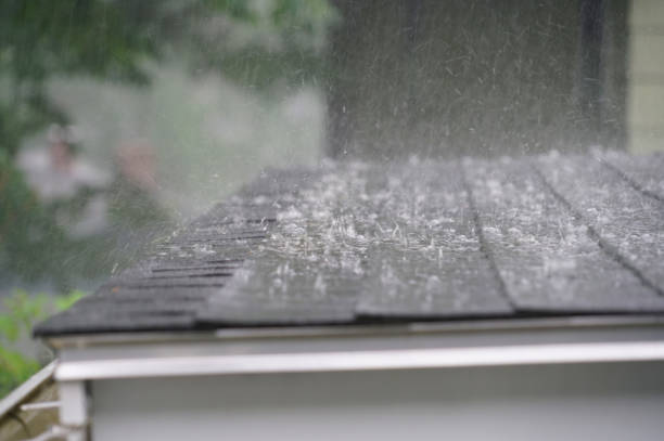 Best Roof Moss and Algae Removal  in Morgantown, PA